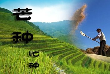 今日是芒种是二十四节气中的第9个节气 - 东方.旭(青岛) - 东方.旭在青岛的博客 今日是芒种是二十四节气中的第9个节气 - 东方.旭(青岛) - 东方.旭在青岛的博客