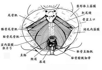 郑州市2018国内口碑较好的盆底肌修复较新排行榜