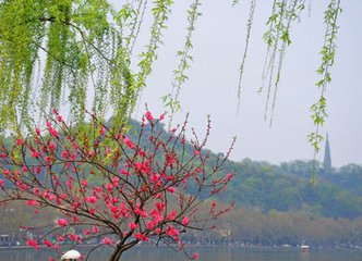 你准备好来西湖“踏春”了吗？