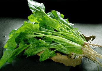 菠菜施用有机肥的方法