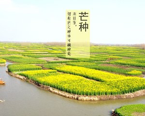 今日是芒种是二十四节气中的第9个节气 - 东方.旭(青岛) - 东方.旭在青岛的博客 今日是芒种是二十四节气中的第9个节气 - 东方.旭(青岛) - 东方.旭在青岛的博客