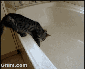 【搞事情】听说你们喜欢看动态图