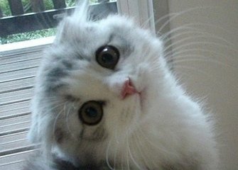 【香港指迷八字合婚_八字合婚免费算命生辰八