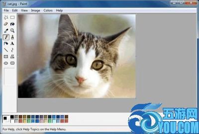 Paint XP(WinXP画图程序)v1.4免费版 Paint XP(WinXP画图程序)v1.4免费版