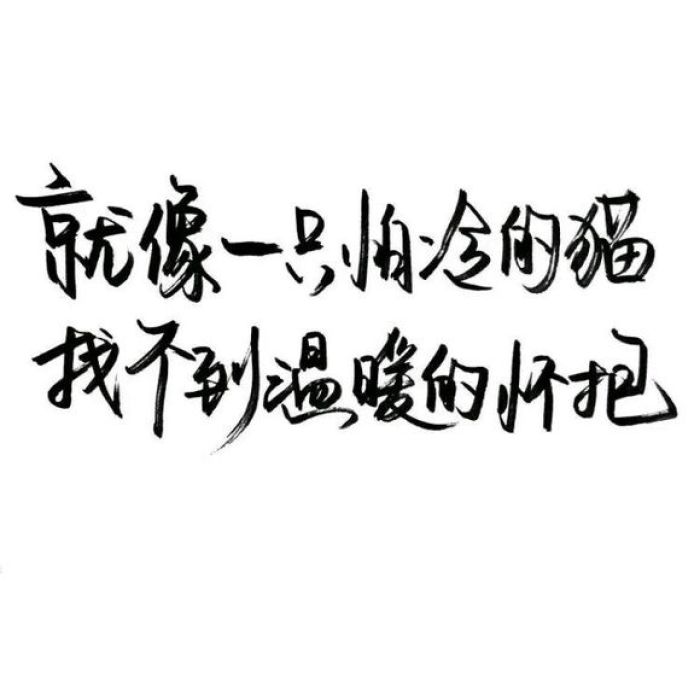 最新设计48张黑底白字,白底黑字,彩色等纯