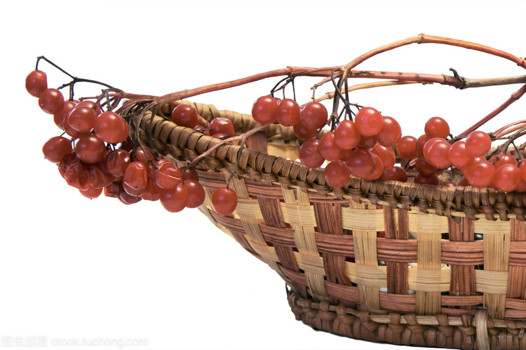 калина berry калина berry