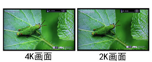 4K / 8K不可用，或者这些2K显示器更可靠