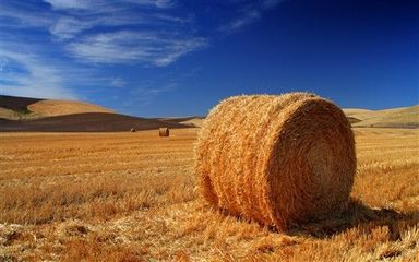 尽览天下美色!Windows7高清壁纸推荐 尽览天下美色!Windows7高清壁纸推荐