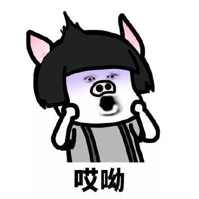 抖音说你是猪表情包是一组系列的搞笑套路表情图片.图片