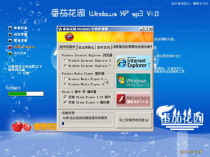 番茄花园xp系统主题包_系统之家番茄花园_番茄花园系统高效纯净版