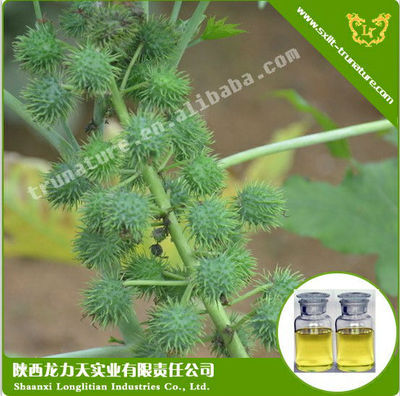 Promotional Organic Hemp Seed Oil, Buy Orga Promotional Organic Hemp Seed Oil, Buy Orga