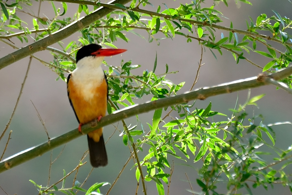 广东快乐十分使得生活变得幸福美满_快乐十分