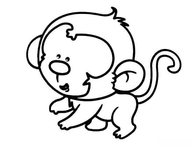 猴子的图片大全大图