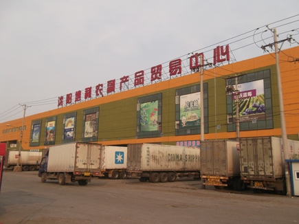 廊坊水果批发市场_廊坊古玩地摊市场时间_成都批发鞋子市场在哪里批发