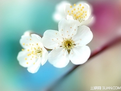 唯美信念句子