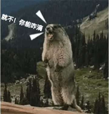 求土拨鼠尖叫gif图_百度知道 .表情王?找?土拔鼠?素材?图片