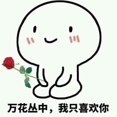 静静等表情包分享展示