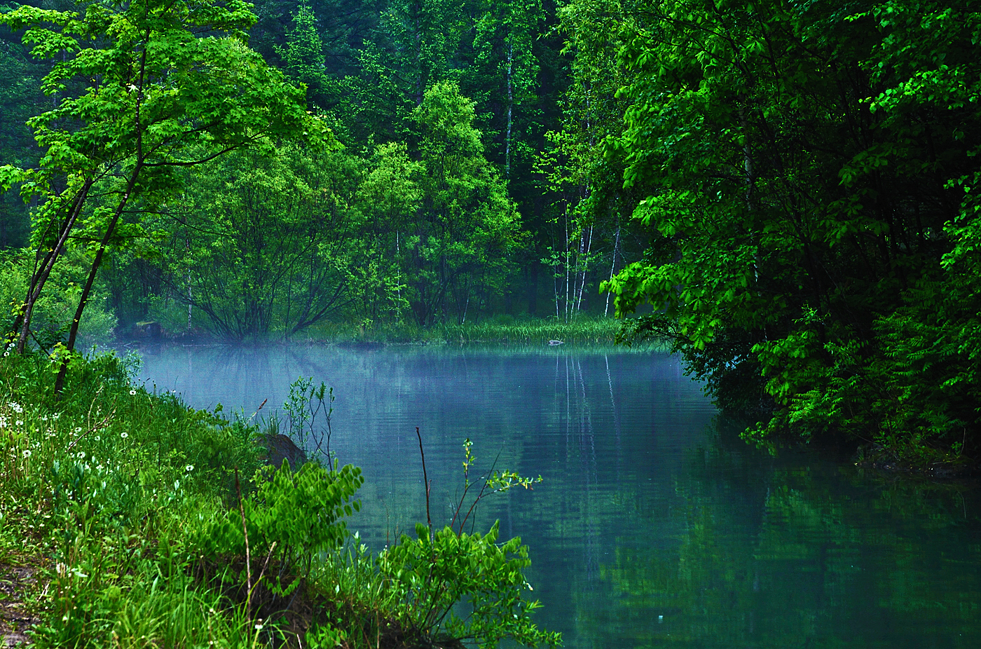 静谧风景