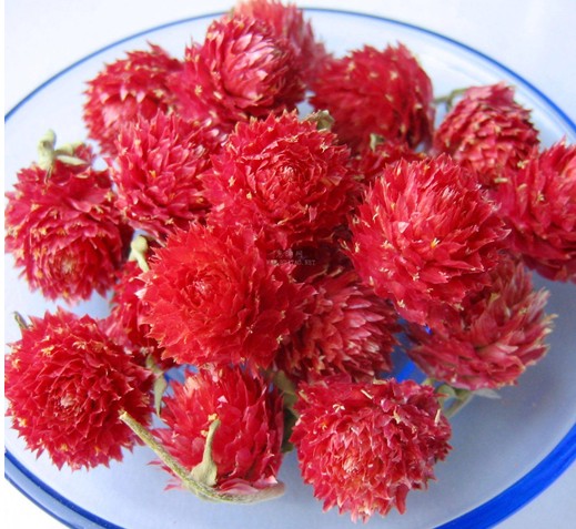 红巧梅骨红垂枝梅黑白红搭配画梅
